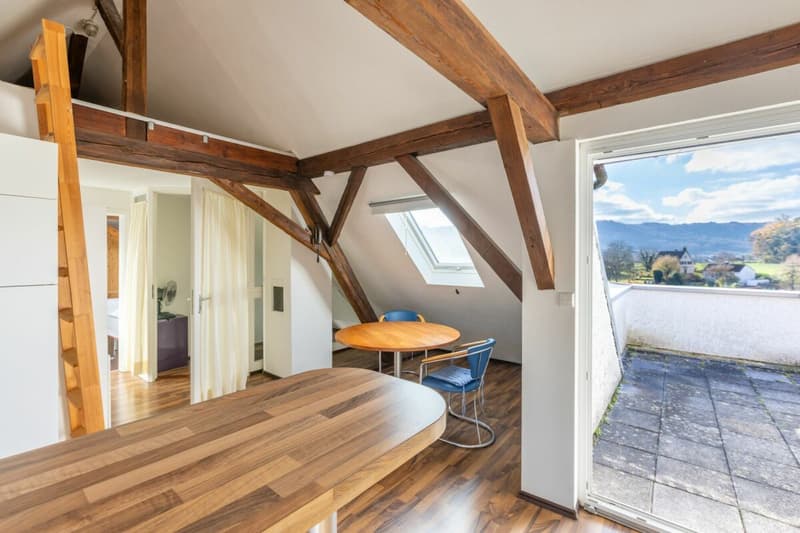 Viel Freiraum, Rheinsicht und Lebensqualität im einzigartig gelegenen Wohnhaus (20)