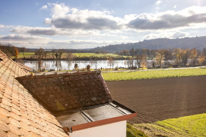 Viel Freiraum, Rheinsicht und Lebensqualität im einzigartig gelegenen Wohnhaus (3)
