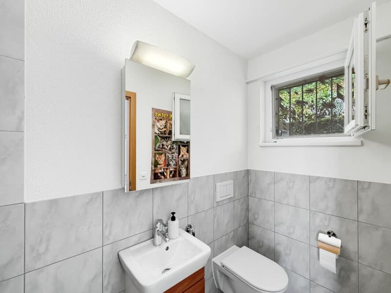 Gästetoilette mit Fenster