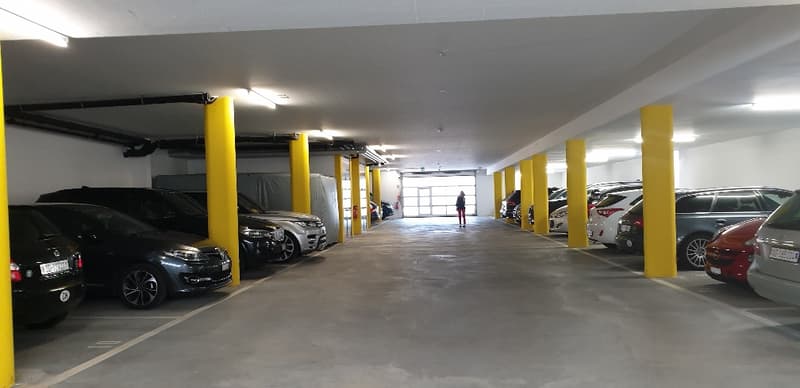 Magazzino a condizioni attraenti (affitto parziale da 55m2 possibile) (6)
