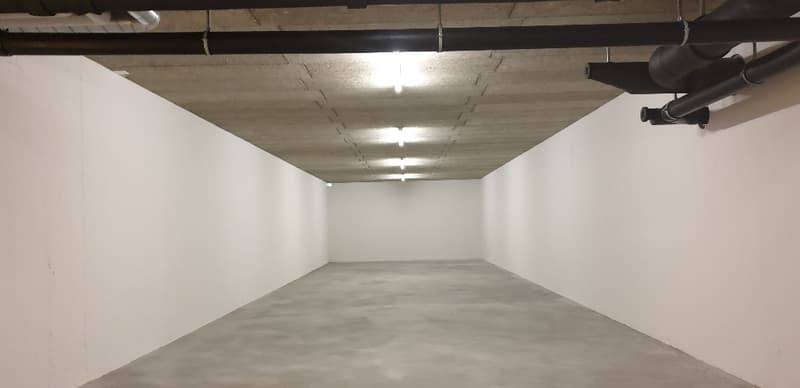 Magazzino a condizioni attraenti (affitto parziale da 55m2 possibile) (3)