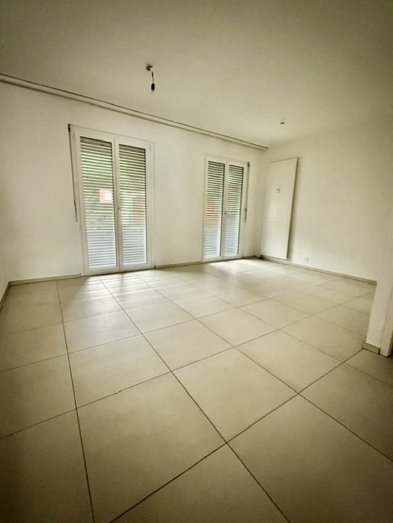 SPAZIOSO MONOLOCALE A LUGANO-CASSARATE (3)