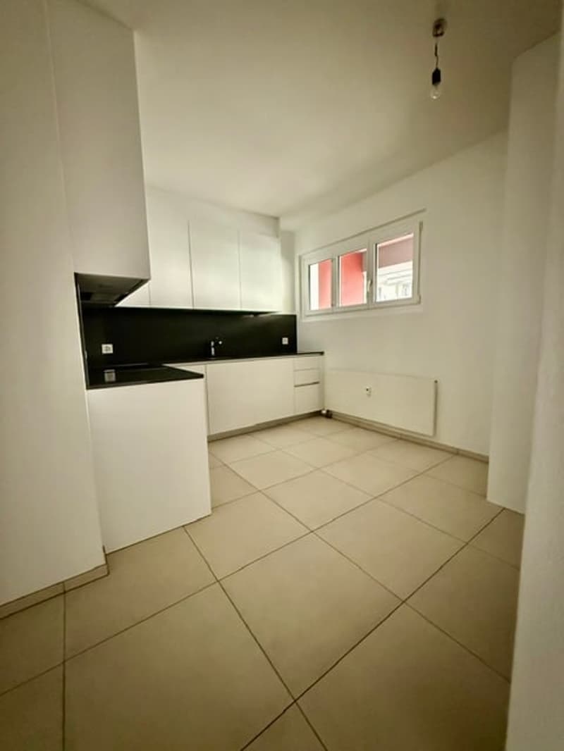 SPAZIOSO MONOLOCALE A LUGANO-CASSARATE (2)