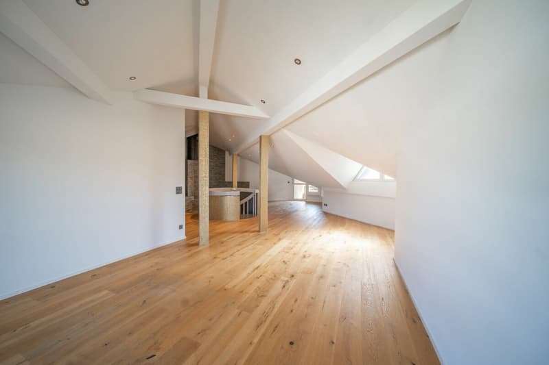 Exklusive Maisonettewohnung mit Dachloge und Spa-Bereich (18)