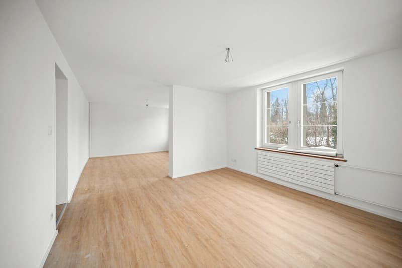 Charmante Maisonettewohnung mit Gartenanteil in Bürglen TG (5)