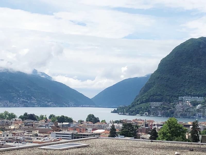Lugano: signorile appartamento con spettacolare vista sul golfo di Lugano (6)