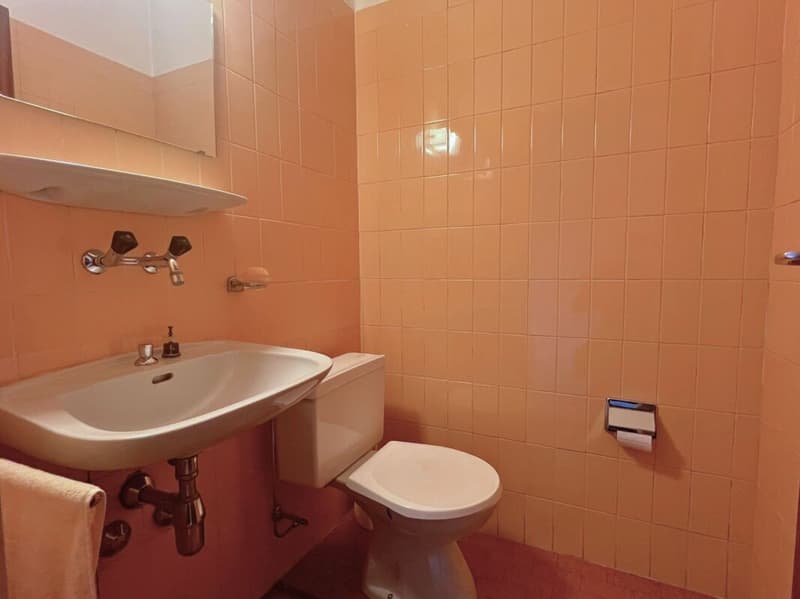 Appartamento all'ultimo piano di 5 locali con balcone (14)