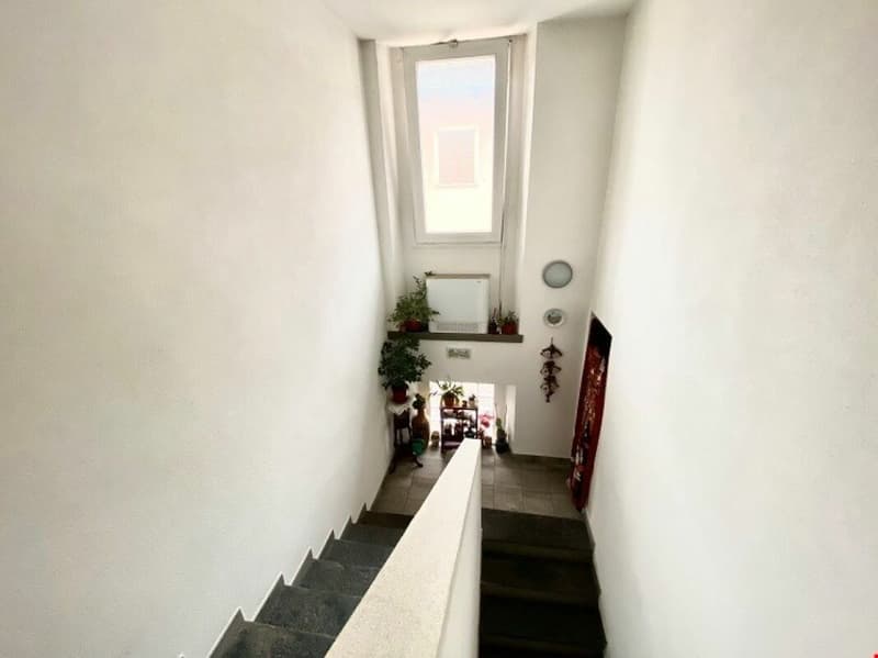 Rinnovata casa indipendente in zona verdeggiante e tranquilla (4)