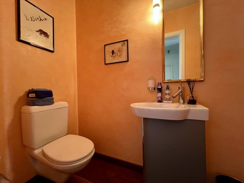Ampio ed elegante appartamento di 270 mq, ultimo piano (15)