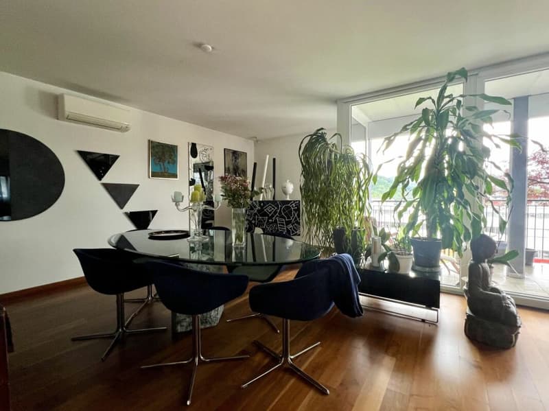 Ampio ed elegante appartamento di 270 mq, ultimo piano (6)