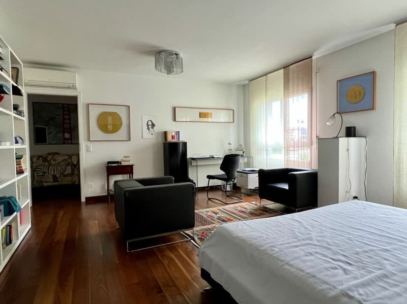 Ampio ed elegante appartamento di 270 mq, ultimo piano (12)