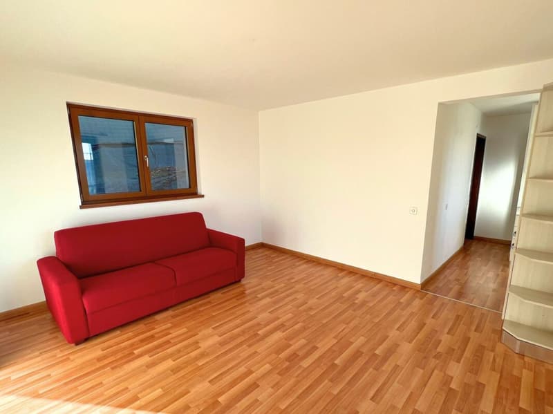 Elegante villa con ampio giardino e due appartamenti annessi (10)
