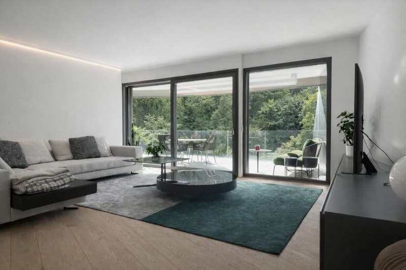 Moderno appartamento a Paradiso con piscina, palestra e meravigliosa vista (3)