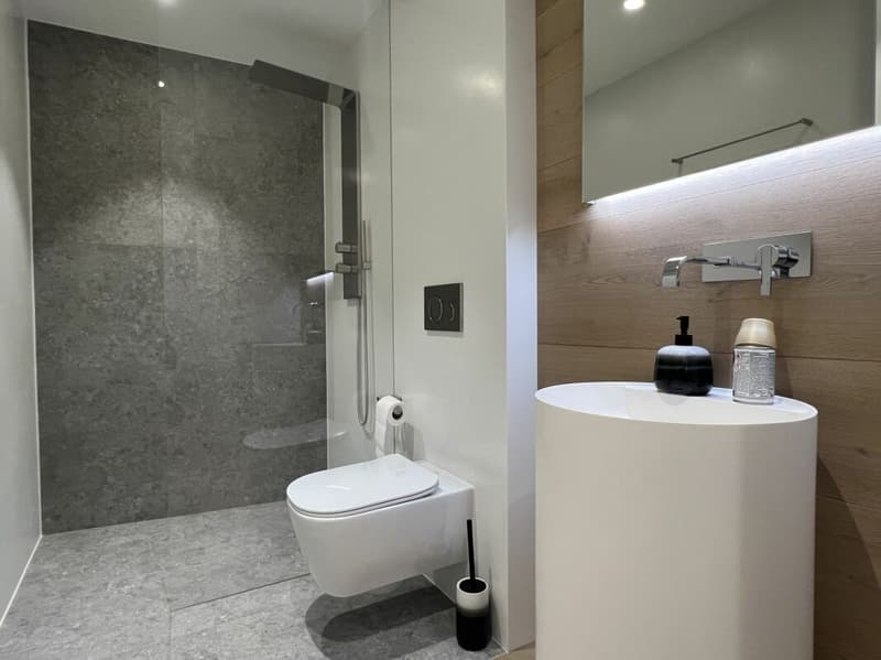 Moderno appartamento a Paradiso con piscina, palestra e meravigliosa vista (15)