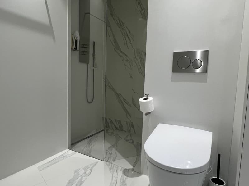 Moderno appartamento a Paradiso con piscina, palestra e meravigliosa vista (18)
