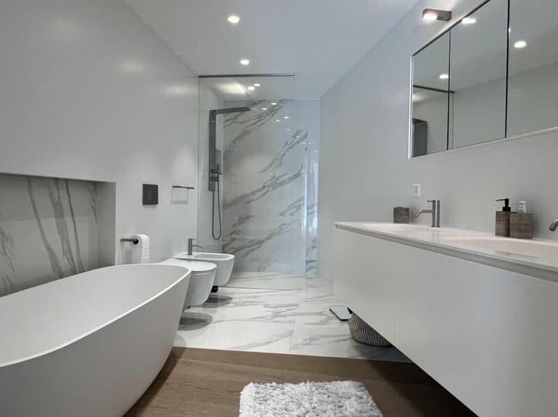 Moderno appartamento a Paradiso con piscina, palestra e meravigliosa vista (13)