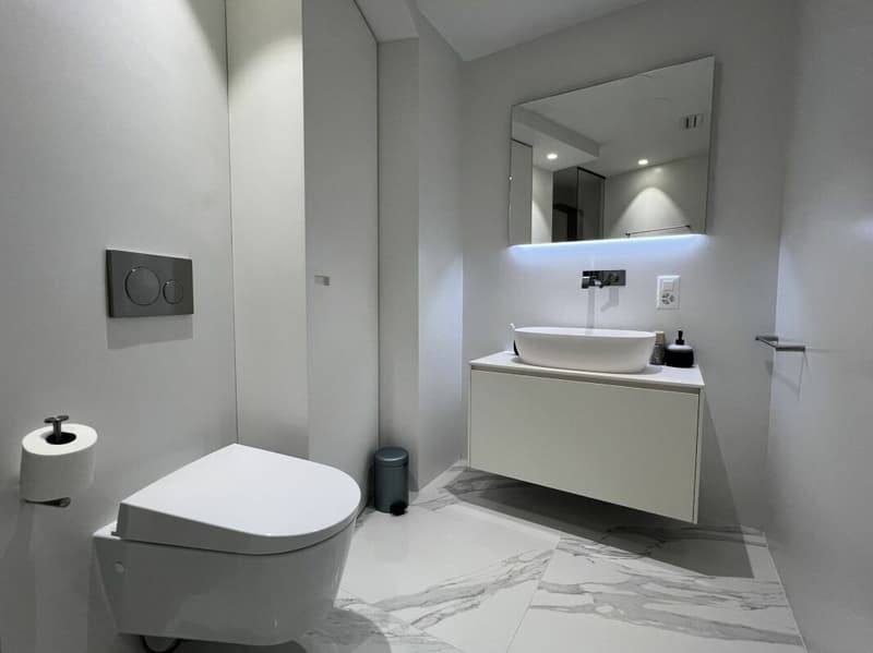 Moderno appartamento a Paradiso con piscina, palestra e meravigliosa vista (17)