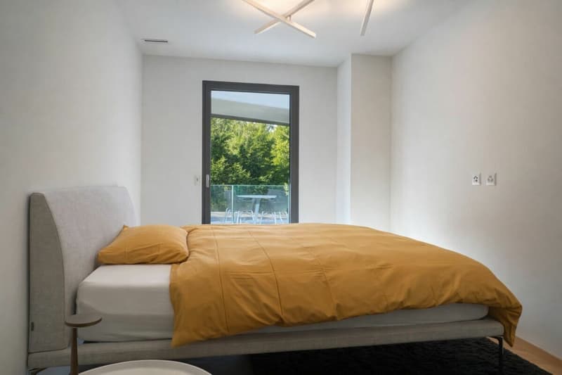 Moderno appartamento a Paradiso con piscina, palestra e meravigliosa vista (14)
