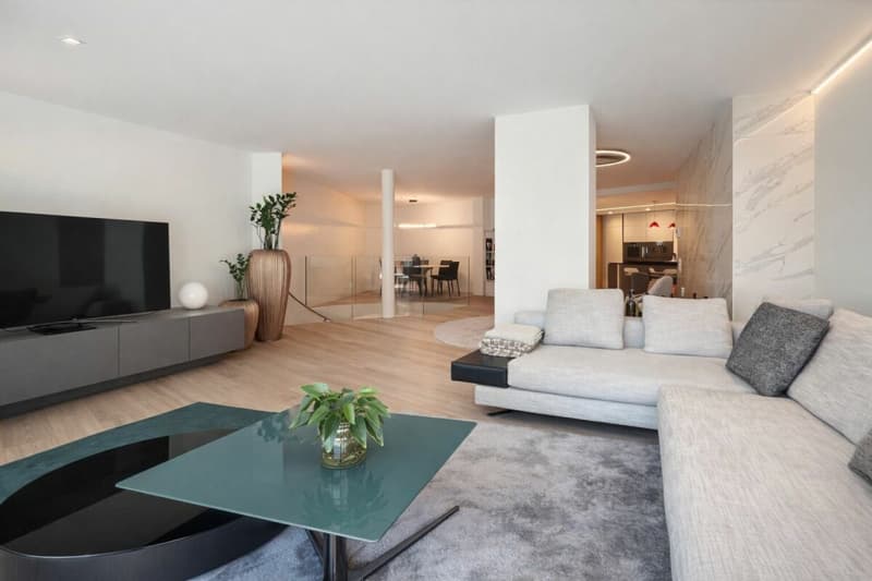 Moderno appartamento a Paradiso con piscina, palestra e meravigliosa vista (4)