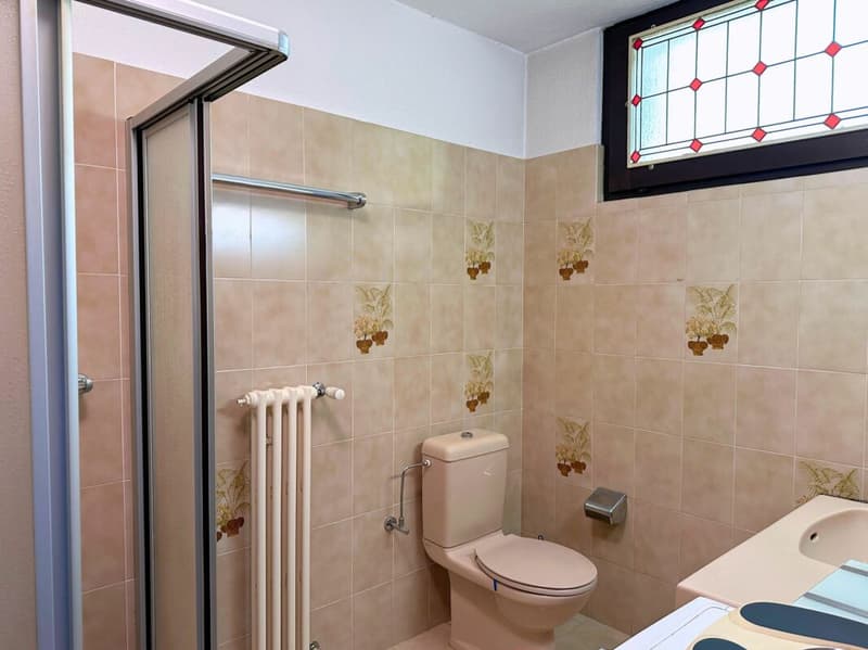 Interessante appartamento di 5.5 locali con grande terrazza e splendida vista lago (18)