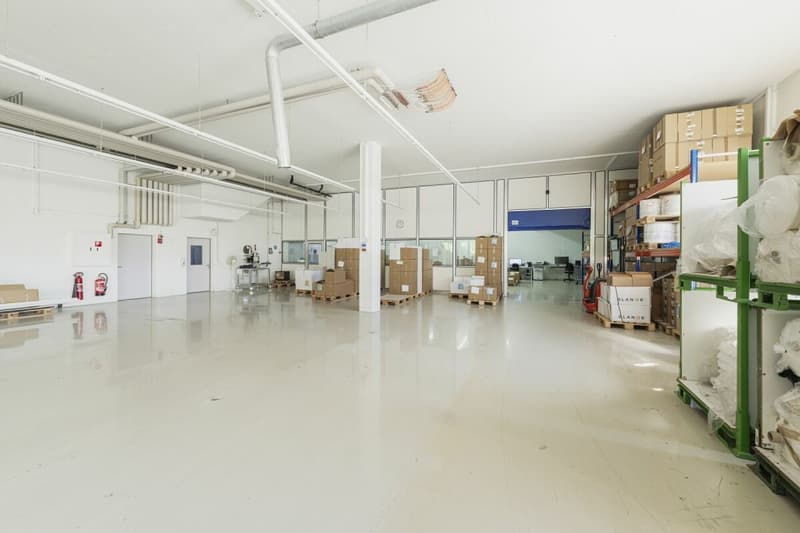 Vielseitige und flexible Gewerbefläche mit Top-Anbindung in Schaffhausen (9)