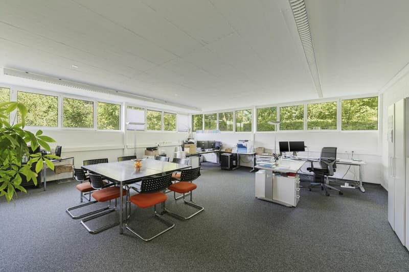 Vielseitige und flexible Gewerbefläche mit Top-Anbindung in Schaffhausen (7)