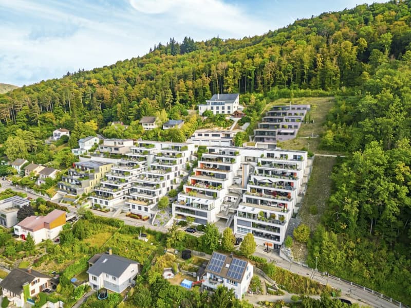 EXKLUSIVE TERRASSENWOHNUNG MIT ATEMBERAUBENDER AUSSICHT ÜBER DAS KLETTGAUGEBIET (25)