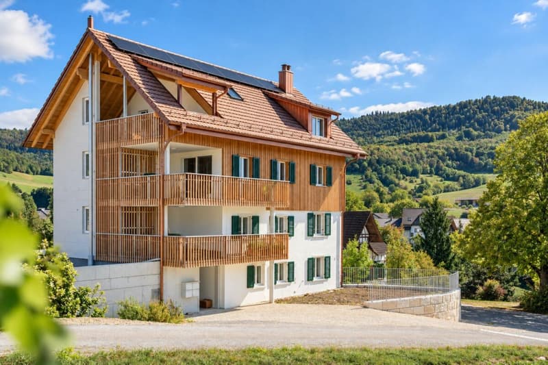 Erstbezug mit besonderem Charme - Neubauwohnung mit Aussenfläche (1)