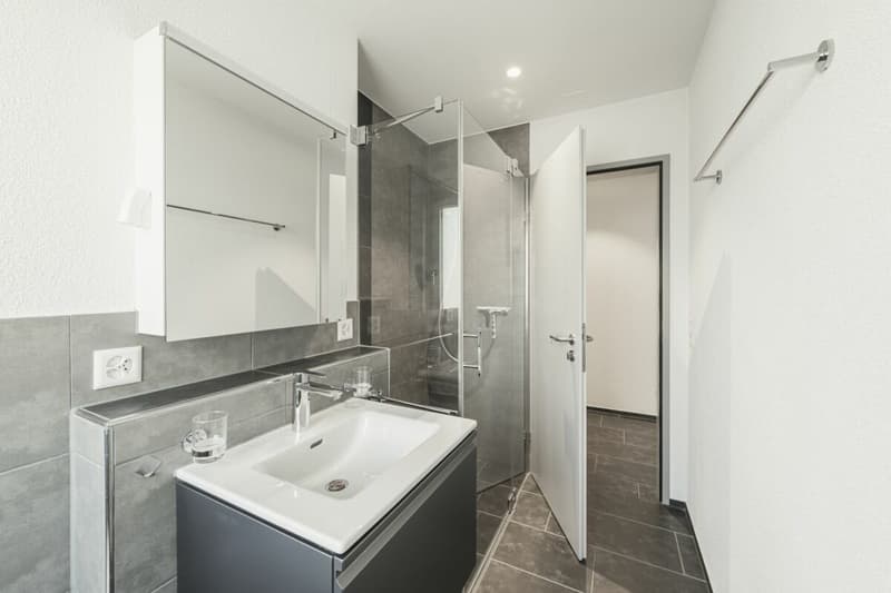 MODERNSTE  TRAUMWOHNUNG AN PERFEKTER WOHNLAGE IN NEUNKIRCH (16)