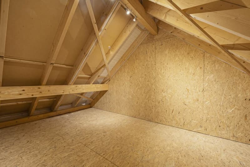 Fantastisches Einfamilienhaus in der malerischen Weinbaugemeinde Osterfingen (26)