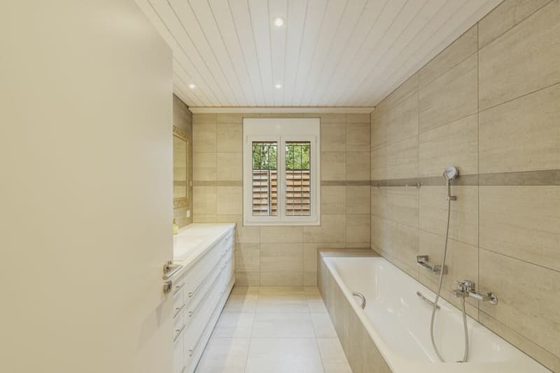 Fantastisches Bungalow-Traumhaus in Dörflingen-Schaffhausen (20)
