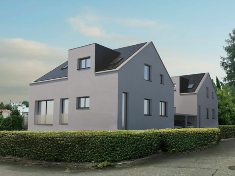 Modernes Neubau-Einfamilienhaus mit Einliegerwohnung (1)