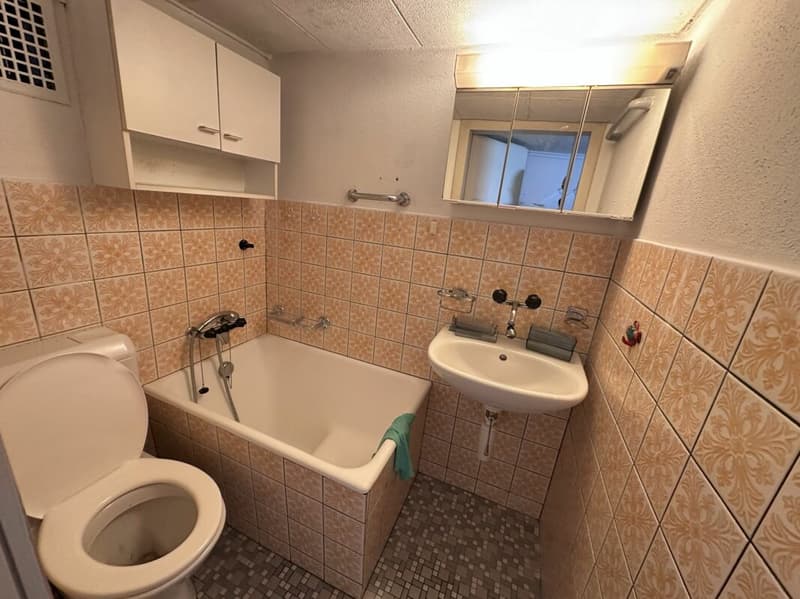 Single-family house with development potential (8)