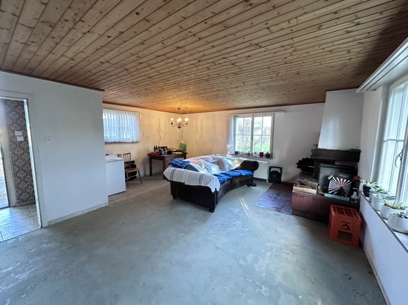 Single-family house with development potential (5)