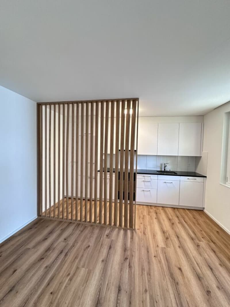 4.5 Room Apartment in Central Location (2)