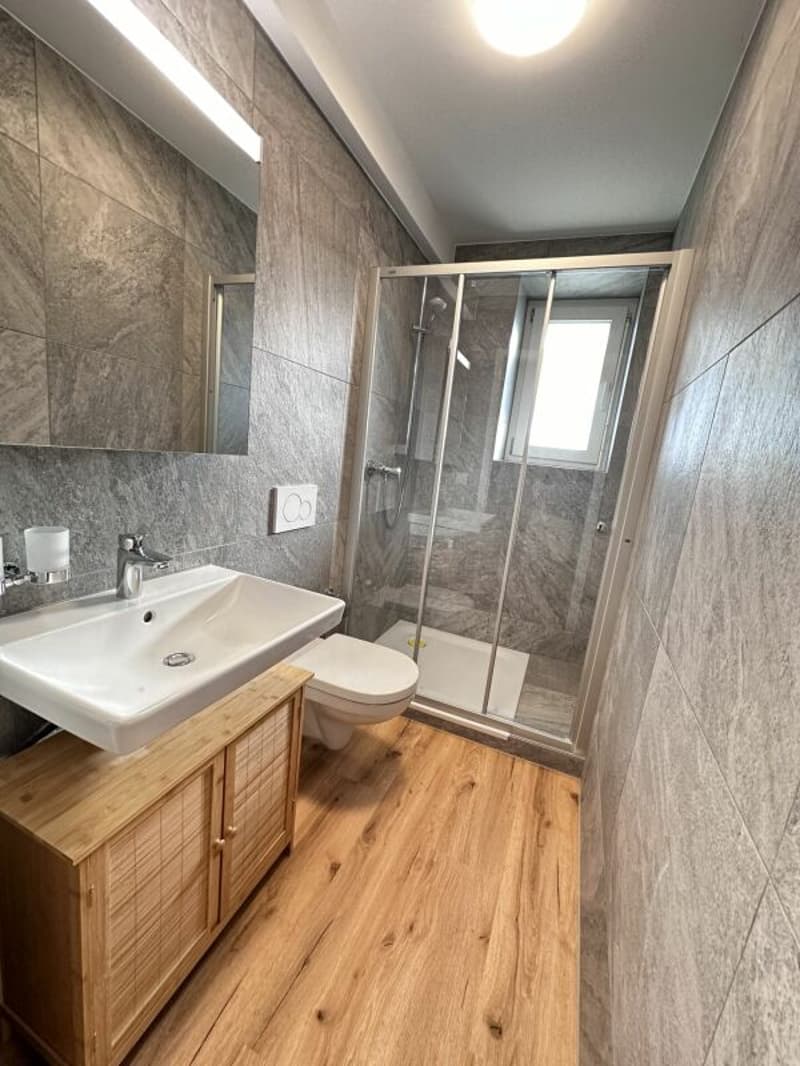 4.5 Room Apartment in Central Location (6)
