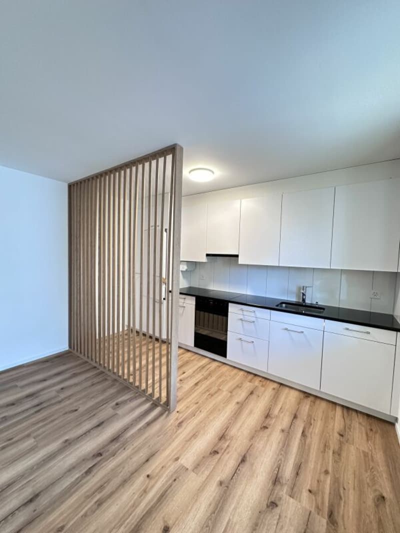 4.5 Room Apartment in Central Location (3)