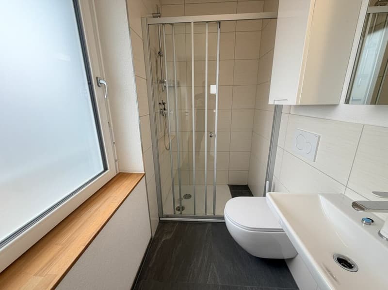 2.5 Zimmer Wohnung (6)