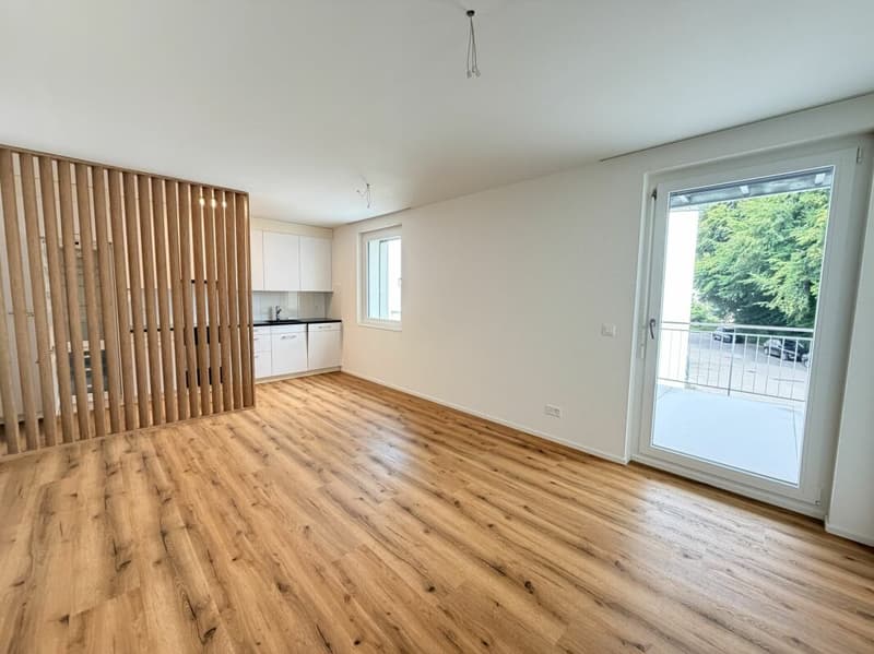 4.5 Zimmer Wohnung an Zentraler Lage (1)
