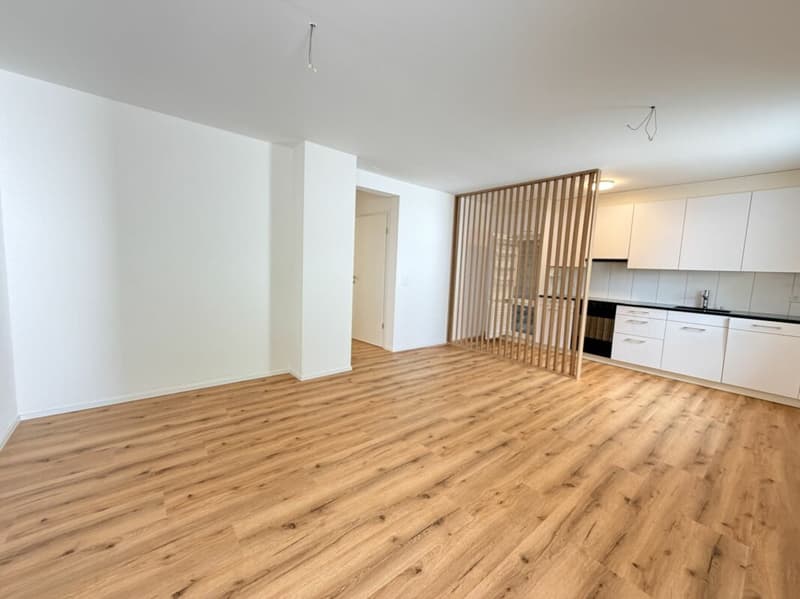 4.5 Zimmer Wohnung an Zentraler Lage (4)