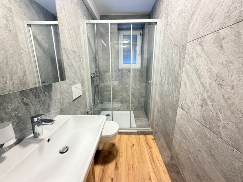 4.5 Zimmer Wohnung an Zentraler Lage (5)