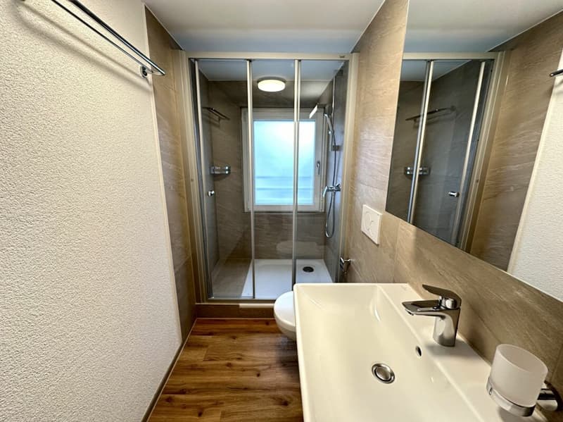 2.5 Zimmer Wohnung (7)