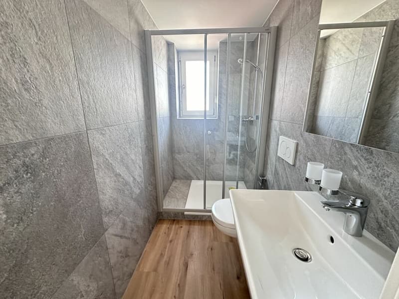 4.5 Zimmer Wohnung an Zentraler Lage (3)