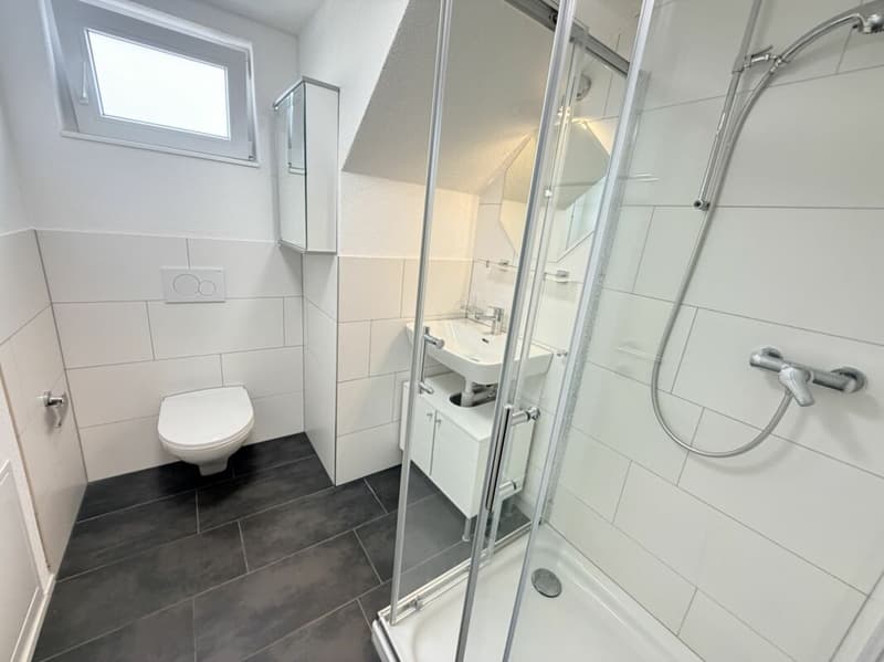 5.5 Zimmer Wohnung (7)