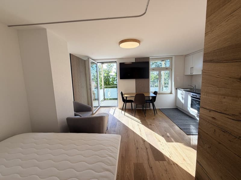 Möblierte 1-Zimmer-Wohnung mit Balkon (3)