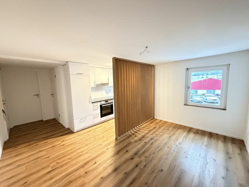 2.5 Zimmer Wohnung (1)