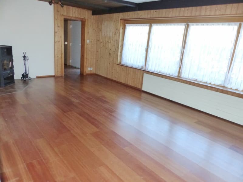 GROSSES EINFAMILIENHAUS MIT POTENZIAL (3)