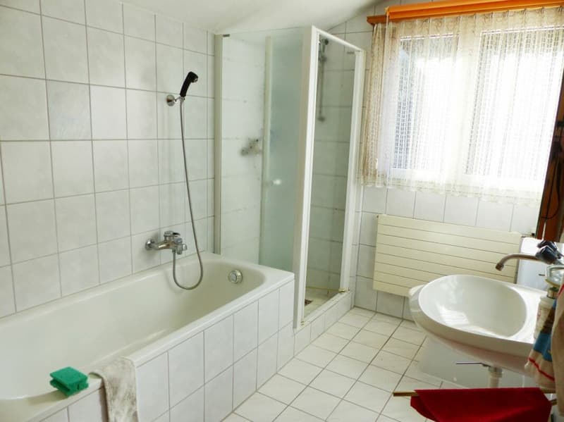 GROSSES EINFAMILIENHAUS MIT POTENZIAL (10)