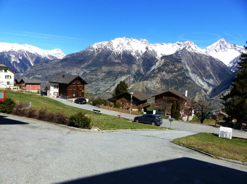 Grande maison unifamiliale de 9 pièces avec un grand potentiel dans un emplacement de rêve (16)