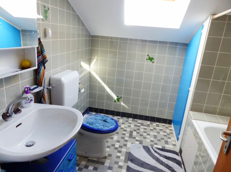 Grande maison unifamiliale de 9 pièces avec un grand potentiel dans un emplacement de rêve (10)